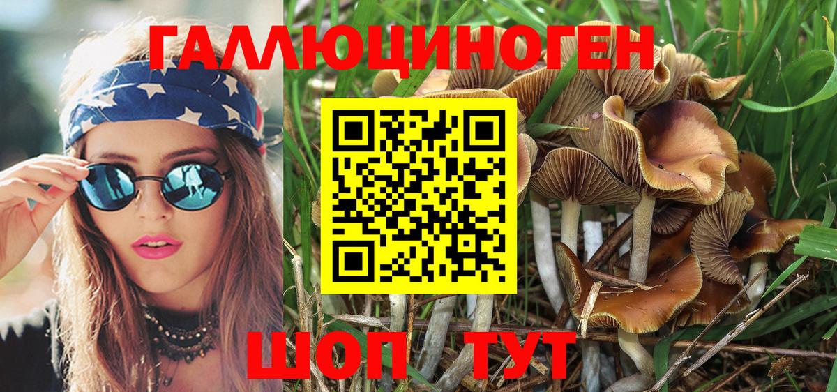 Галлюциногенные грибы MAGIC MUSHROOMS  Галлюциногенные грибы прущие грибы  Вход с VPN  Калуга 