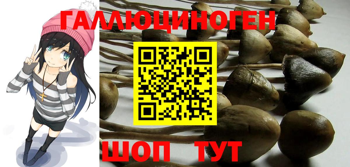 Галлюциногенные грибы мицелий Калуга